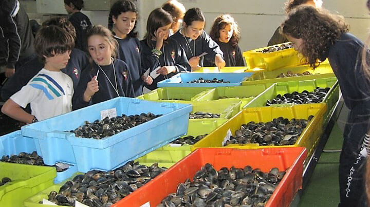 pechetourisme-espagne.fr excursions avec conchyliculteurs à Cambados Galice